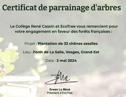 certif.jpg